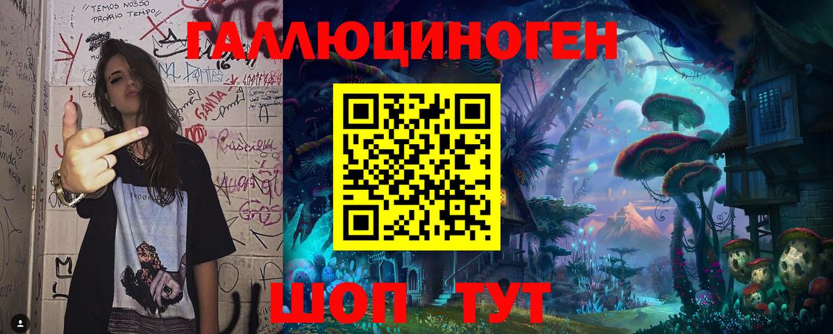 Галлюциногенные грибы Psilocybe  Вход с VPN  Зима 