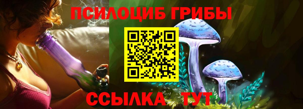 Псилоцибиновые грибы Cubensis Зима